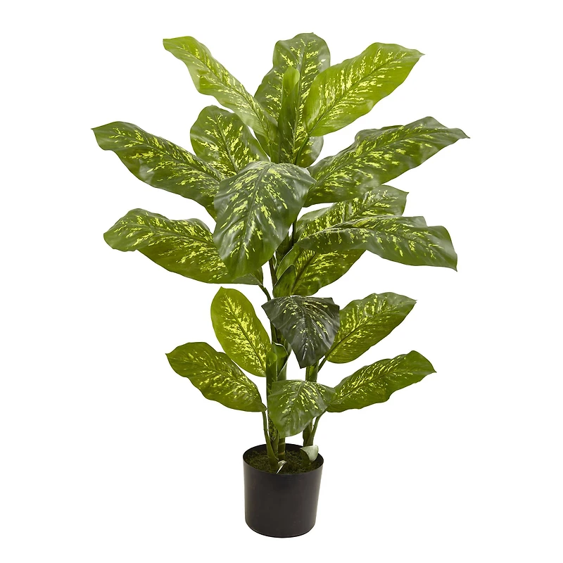 4ft. Potted Dumb Cane Real Touch Plant