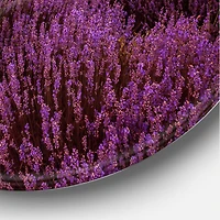 Designart - Sunrise & Dramatic Clouds Over Lavender Field III