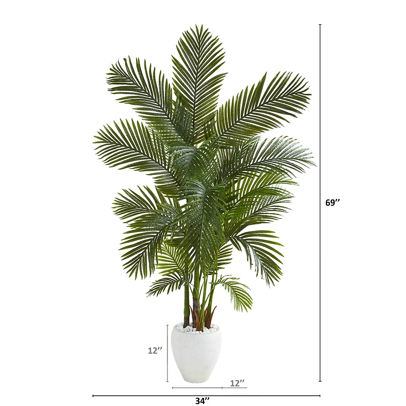 5.75ft. Areca Palm Tree in White Planter