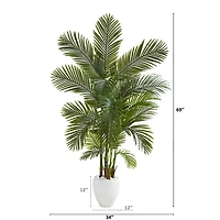 5.75ft. Areca Palm Tree in White Planter