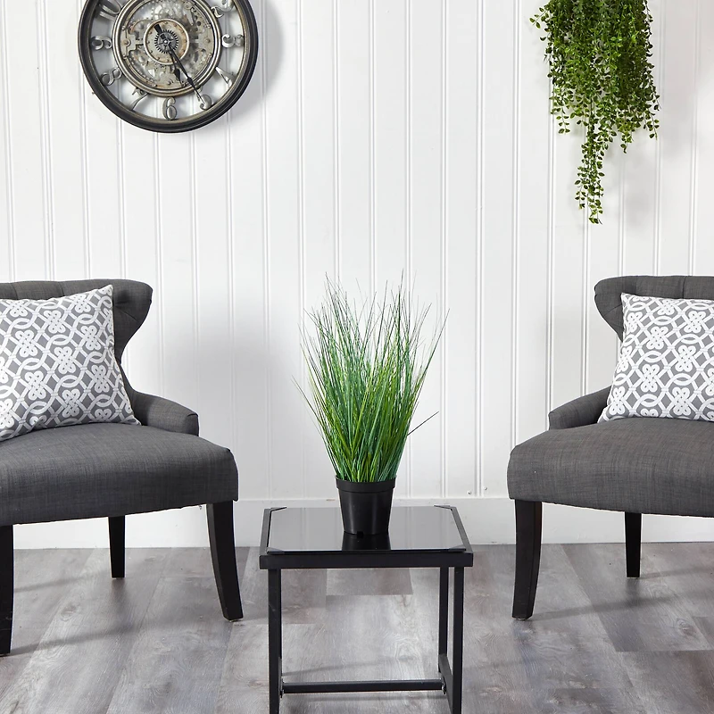 21" Potted Onion Grass Plant