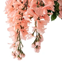 10 Pack: Coral Wisteria Bush by Ashland®