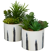 Novogratz Green Faux Foliage Succulent in Patterned Porcelain Pot Set