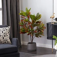46" Potted Croton Shrub Tree