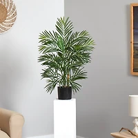 2.5ft. Potted Areca Palm