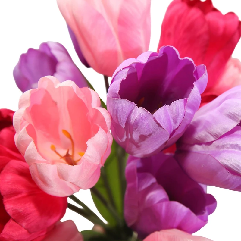 19" Tulip Bush by Ashland