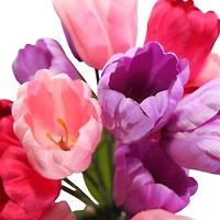 19" Tulip Bush by Ashland