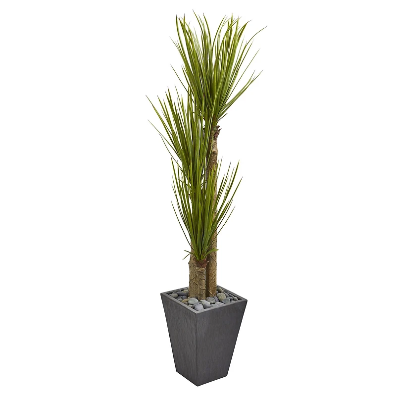 5.5ft. Triple Stalk Yucca Plant in Slate Planter