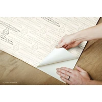 RoomMates Star Wars Tie Fighter Peel & Stick Wallpaper