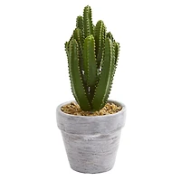 8" Assorted Potted Cactus Plant, 3ct.