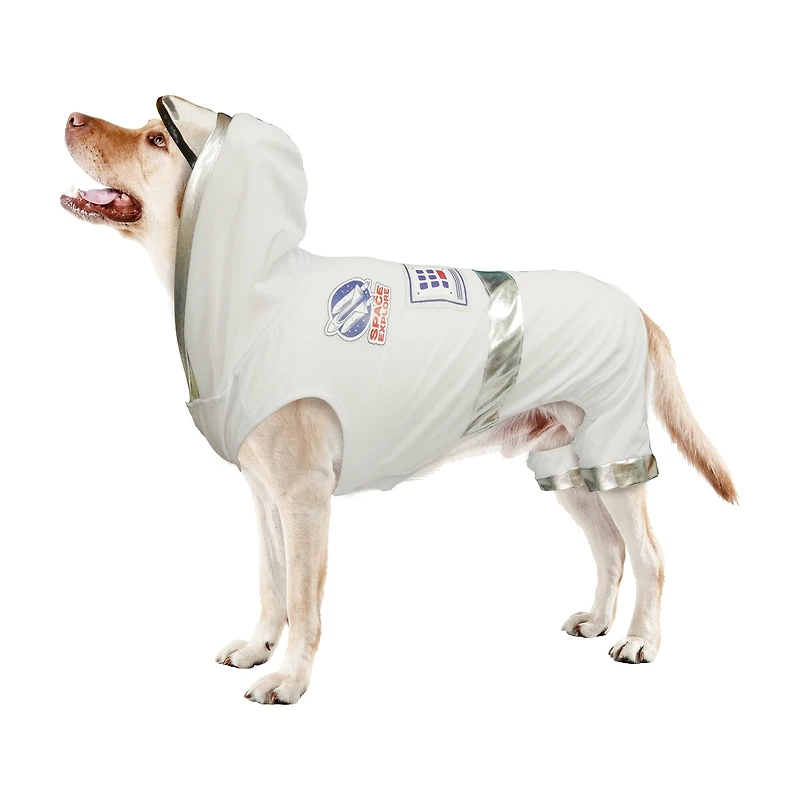 Best Furry Friends Astronaut Pet Costume