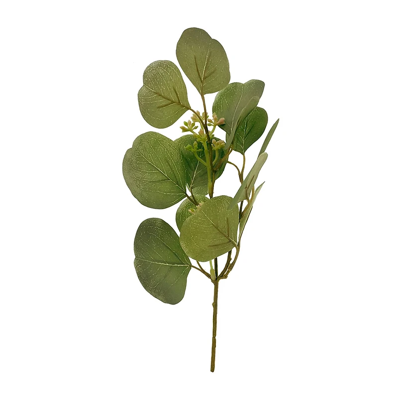 Assorted Green Eucalyptus & Berry Pick by Ashland®