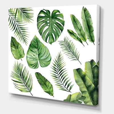 Designart - Tropical Leaf Of Monstera V