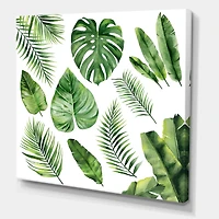 Designart - Tropical Leaf Of Monstera V