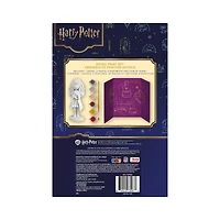 Harry Potter™ Hermione Granger Model Paint Set