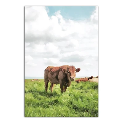 Cow Grazing 20" x 30" Canvas Wall Art