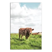 Cow Grazing 20" x 30" Canvas Wall Art