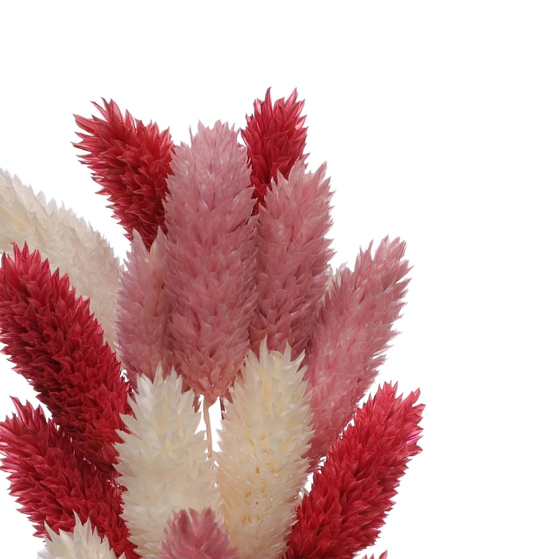 Red & Pink Canary Grass Dried Mini Bundle by Ashland®