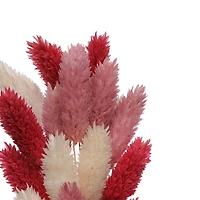 Red & Pink Canary Grass Dried Mini Bundle by Ashland®