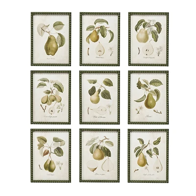 Hello Honey® 11.75" x 15.75" Orchard Essence Pear Print Collection Wall Art Set