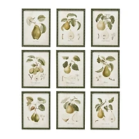 Hello Honey® 11.75" x 15.75" Orchard Essence Pear Print Collection Wall Art Set