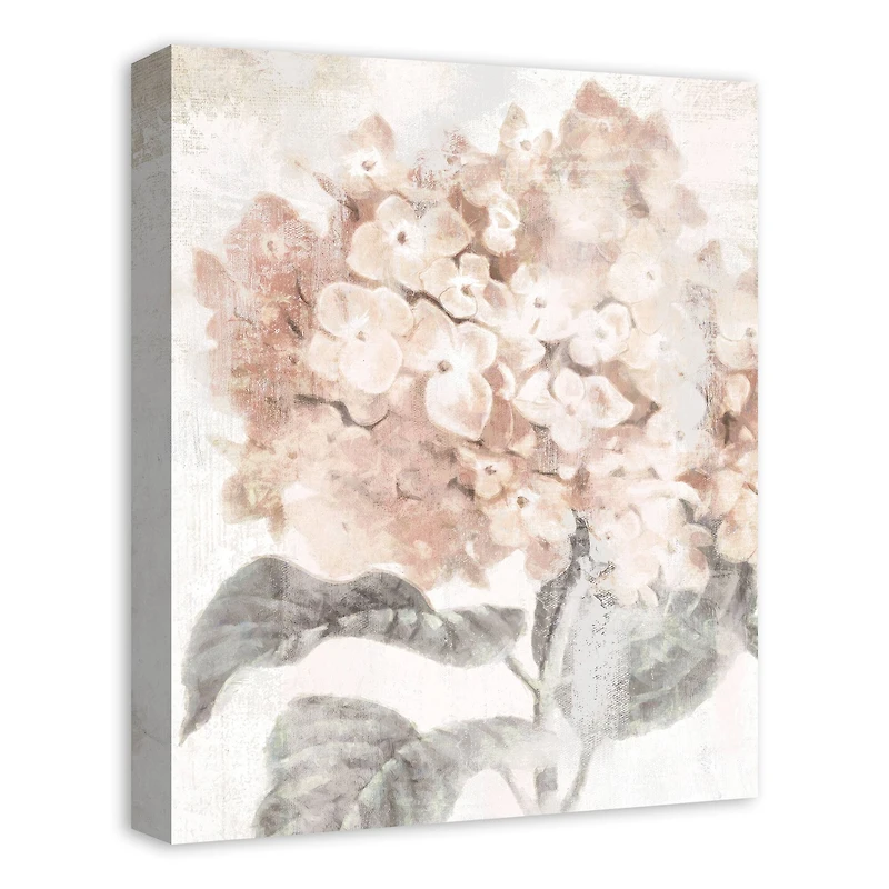 Closeup Hydrangea 16" x 20" Canvas Wall Art