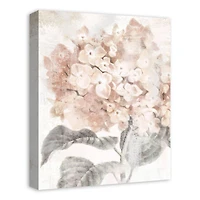 Closeup Hydrangea 16" x 20" Canvas Wall Art