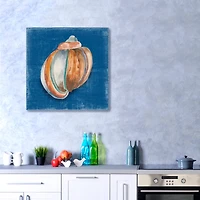 Rosecliff Shell II Canvas Giclee