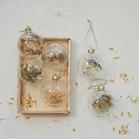 Hello Honey® 3.25" Dried Botanicals Round Glass Ball Ornament Set