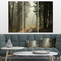 Designart - Dark Green Forest with Sun Rays