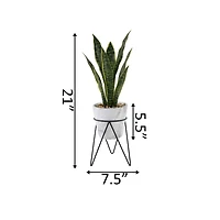 Flora Bunda® 1.75ft. Snake Plant In Marble On Metal Stand