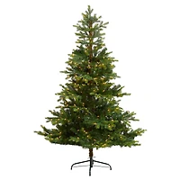 6ft. Pre-Lit North Carolina Spruce Artificial Christmas Tree, Clear Lights