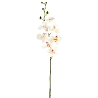 12 Pack: Cream & Pink Orchid Spray by Ashland®