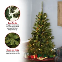 4 ft. Pre-Lit Canadian Fir Grande Wrapped Artificial Christmas Tree, Clear Lights