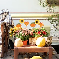 Glitzhome® 18" Fall Metal Pumpkin, Leave & Sunflower Yard Stake, 6ct.