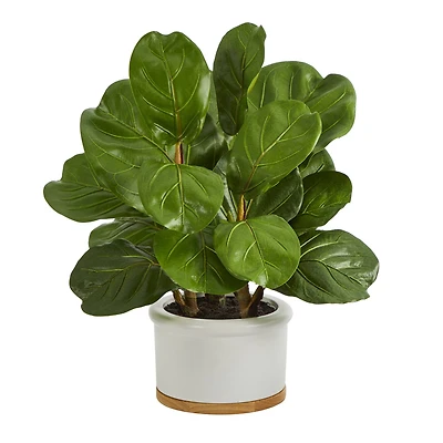 15" Fiddle Leaf Tree in White Planter