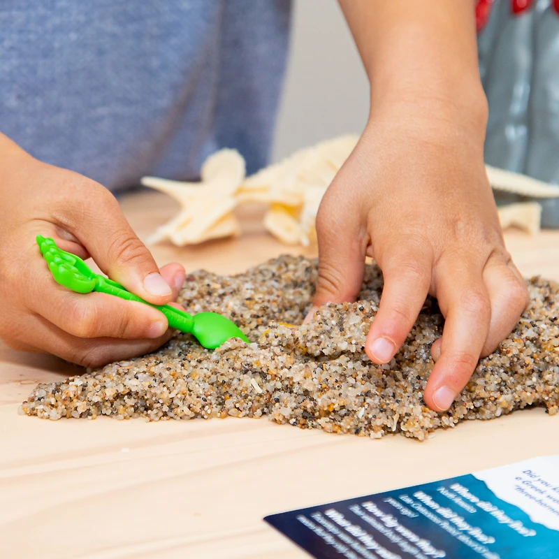 Educational Insights GeoSafari Jr. Dino Discovery Dig Triceratops