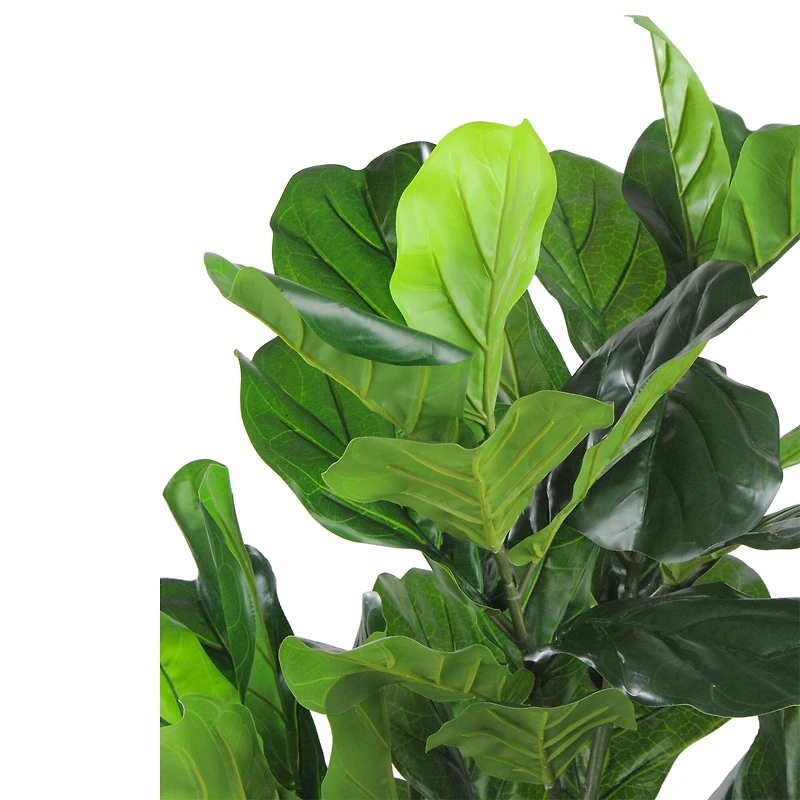 4 ft. Two-Tone Potted Wide Fiddle Leaf Floor Plant