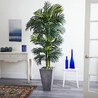 7ft. Golden Cane Palm Tree In Cement Planter