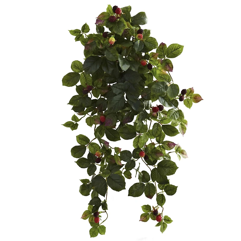 32" Raspberry Hanging Bush with Berries