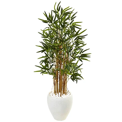 4ft. Bamboo Tree in White Oval Planter