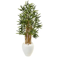 4ft. Bamboo Tree in White Oval Planter