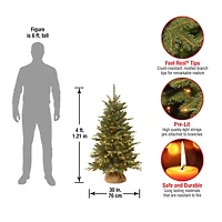 4ft. Pre-Lit Everyday Collection Burlap Artificial Tabletop Christmas Tree, Clear Lights