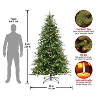7.5ft. Pre-Lit Skykomish Pine Artificial Christmas Tree, Warm White LED Lights