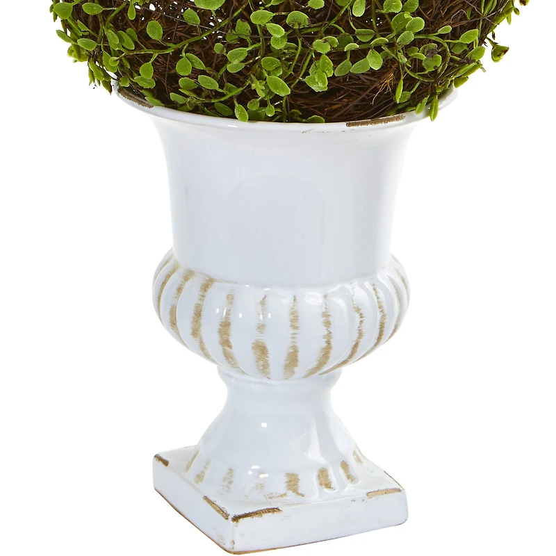 18" Mohlenbechia Ball Topiary in White Urn