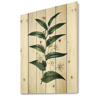 Designart - Vintage Plant With Little White Flowers