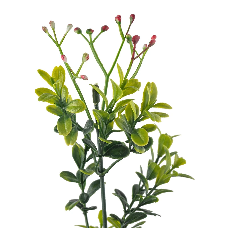 Pink Baby's Breath Bush by Ashland®