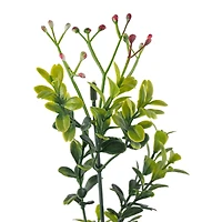 Pink Baby's Breath Bush by Ashland®