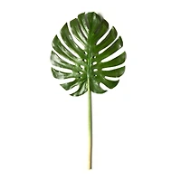 6 Pack: Green Monstera Leaf Stem by Ashland®