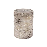 Faux Birch Pillar Candle by Ashland